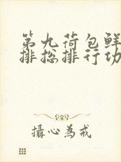 第九荷包鲜辣肉排总排行功能介绍