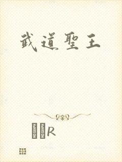 武道圣王