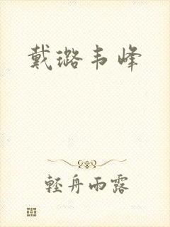 戴璐韦峰封面