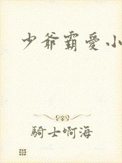 少爷霸爱小丫头