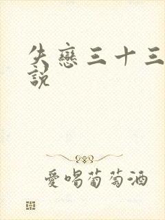 失恋三十三天小说