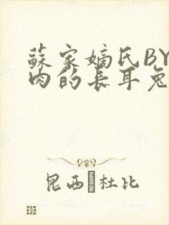 苏家嫡氏BY吃肉的长耳兔