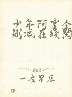 少年阿宾全文无删减在线阅读