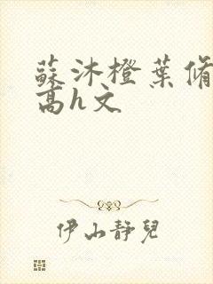 苏沐橙叶修纯肉高h文