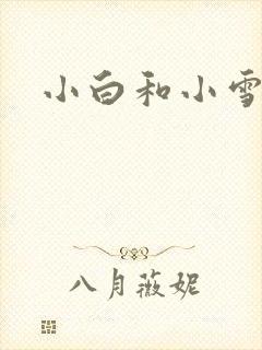 小白和小雪