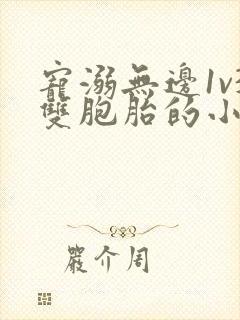 宠溺无边1v3双胞胎的小说