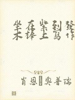 坐在紫到发黑的木棒上写作业