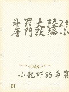 斗罗大陆2绝世唐门改编小说