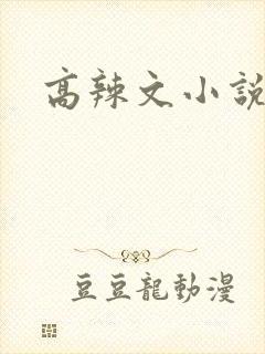 高辣文小说