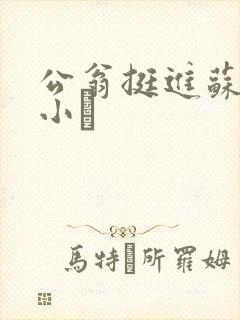 公翁挺进苏玥的小泬