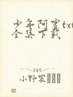 少年阿宾txt全集下载