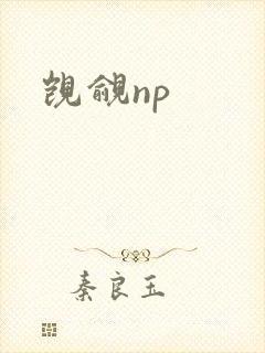 觊觎np