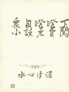 众目睽睽下的事小说免费阅读笔趣阁封面