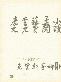 老李苏柔小说全文免费阅读