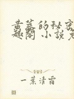 黄蓉的秘密 笔趣阁 小说免费阅读