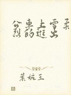 公车上雪柔被猛烈的进出