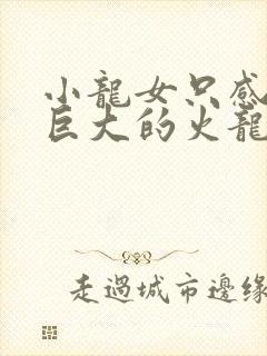 小龙女只感觉那巨大的火龙枪