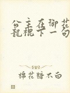 公主在御花园吃龙棍下一句封面