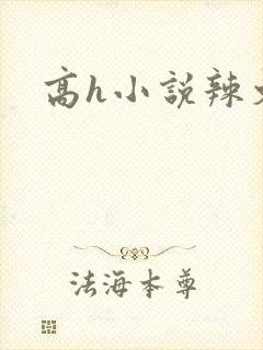 高h小说辣文封面