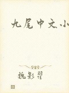 九尾中文小说网封面