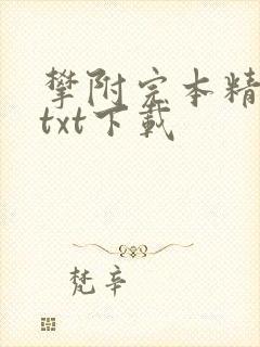 攀附完本精校版txt下载