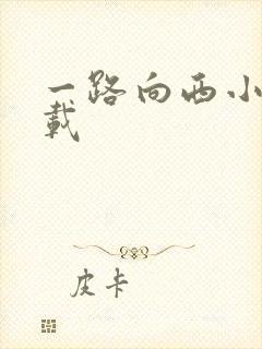 一路向西小说下载