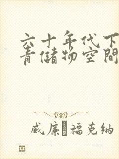 六十年代下乡知青储物空间