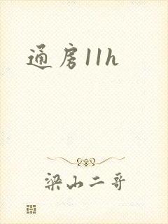 通房11h