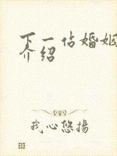 下一站婚姻剧情介绍