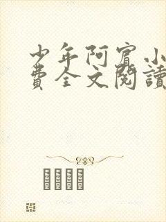 少年阿宾小说免费全文阅读无删减