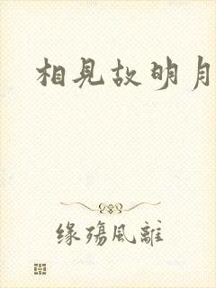 相见故明月封面