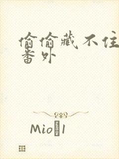 偷偷藏不住新婚番外