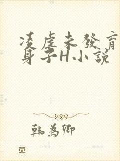 凌虐未发育的小身子H小说