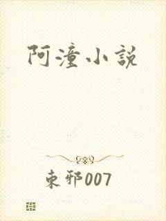 阿潼小说封面