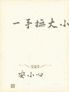 一手抚大小说