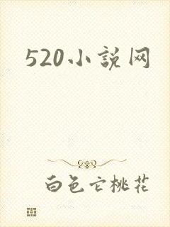 520小说网