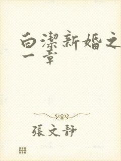 白洁新婚之夜第一章