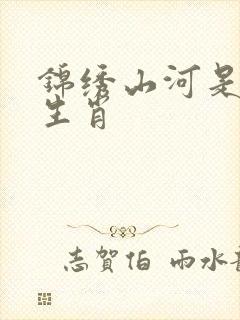 锦绣山河是什么生肖封面