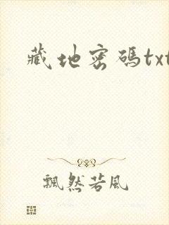 藏地密码txt封面