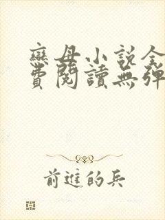 恋母小说全文免费阅读无弹窗笔趣阁