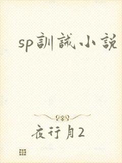 sp训诫小说