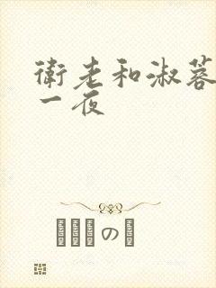 卫老和淑蓉销魂一夜封面