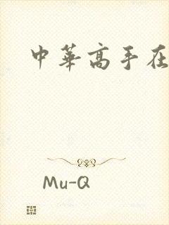 中华高手在异世