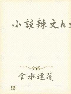 小说辣文h文封面