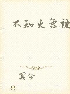 不知火舞被辱记封面