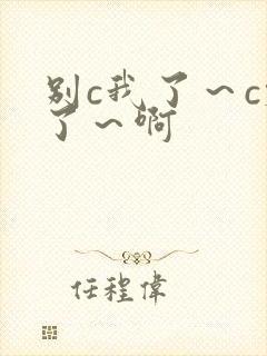 别c我了～c烂了～啊封面