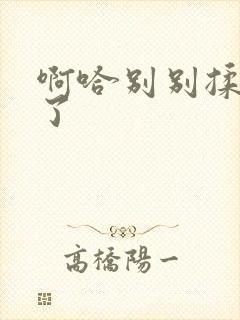 啊哈别别揉那处了封面