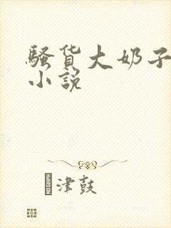 骚货大奶子言情小说