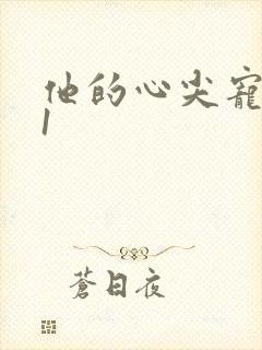 他的心尖宠1v1封面