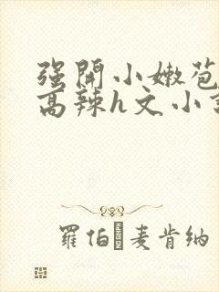 强开小嫩苞h文高辣h文小说